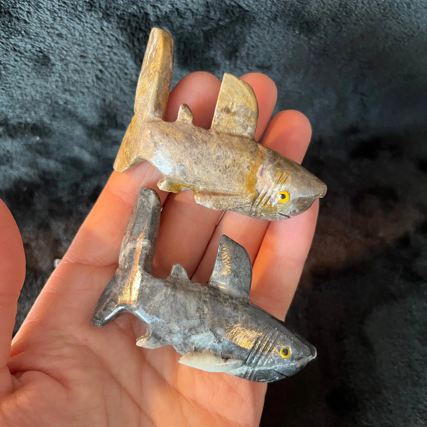 Shark Carved Soapstone (Approx. 2 3/4”) 0828 Shop Wholesale Crystals