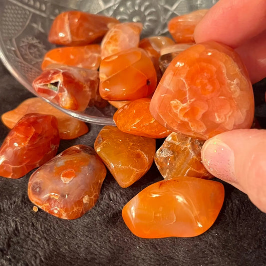 Carnelian Agate Tumbled Stone (Approx. 1 1/4” - 1 3/4”) BIN-1468 Shop Wholesale Crystals