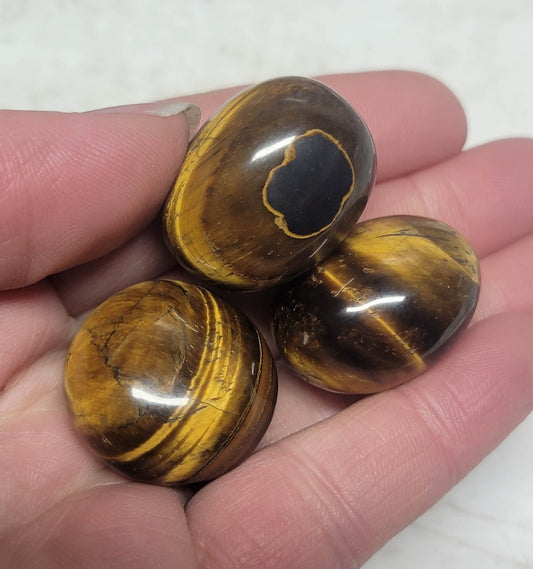 Tiger's Eye Polished Tumbled Stone Large (Approx. 1” - 1 1/2") BIN-1509