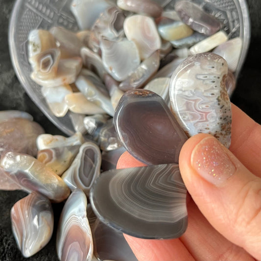 Botswana  Agate Tumbled Slice (Approx. 3/4” - 1 1/2”) 0752