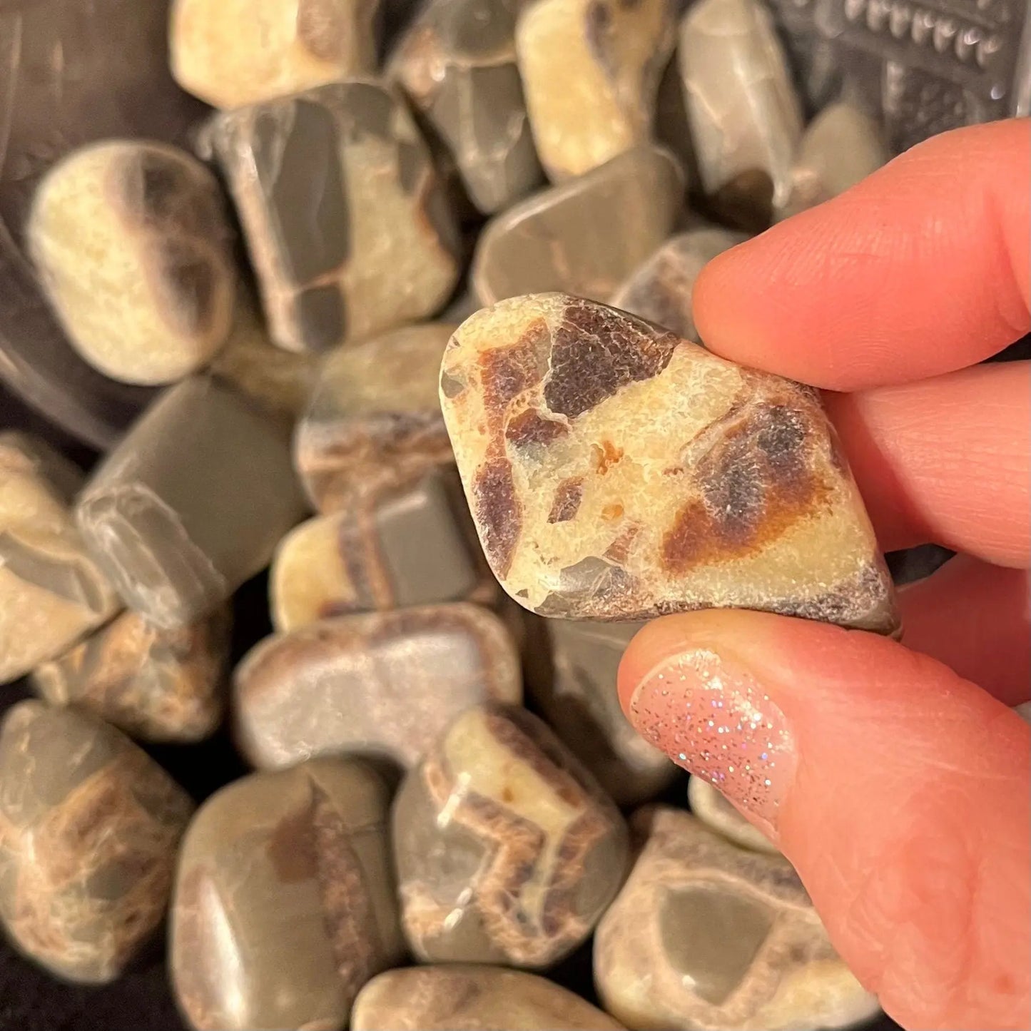 Septarian Nodule Tumbled Stone (Utah)  1”-1 1/4”) 0314 Shop Wholesale Crystals
