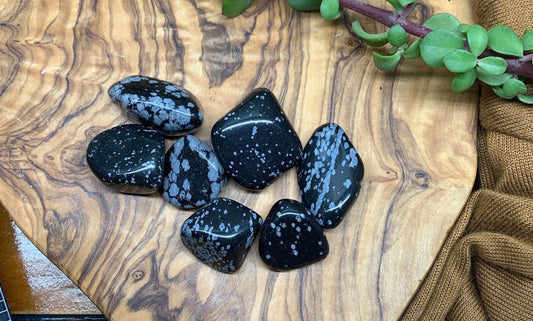 Snowflake Obsidian Tumbled Stone (Approx. 3/4" - 1") 0741 Shop Wholesale Crystals