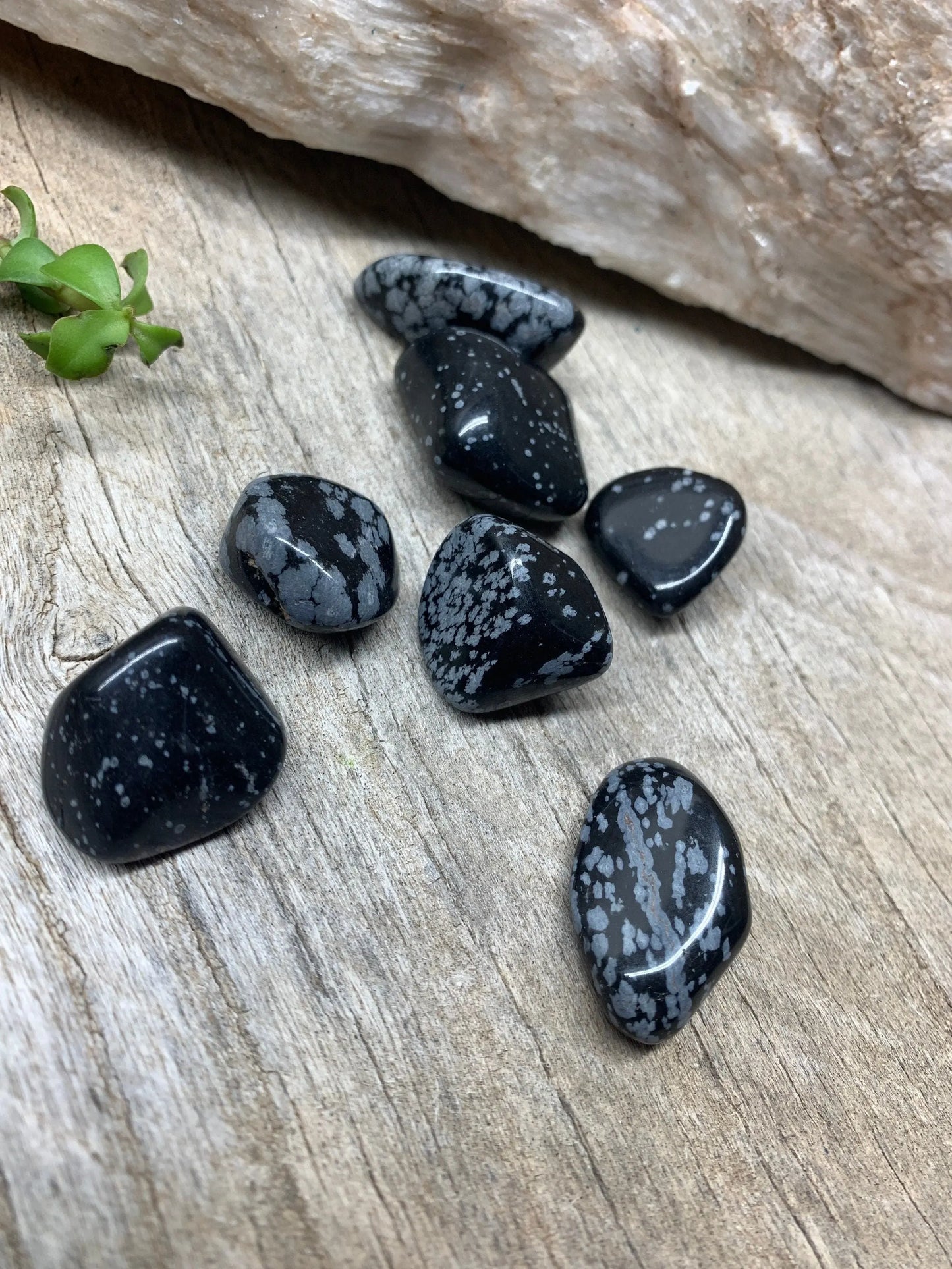 Snowflake Obsidian Tumbled Stone (Approx. 3/4" - 1") 0741 Shop Wholesale Crystals