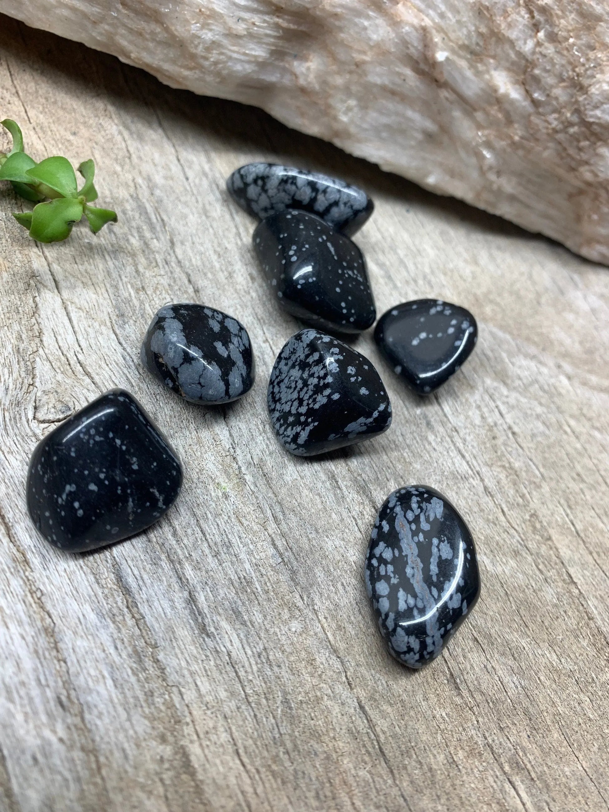 Snowflake Obsidian Tumbled Stone (Approx. 3/4" - 1") 0741 Shop Wholesale Crystals