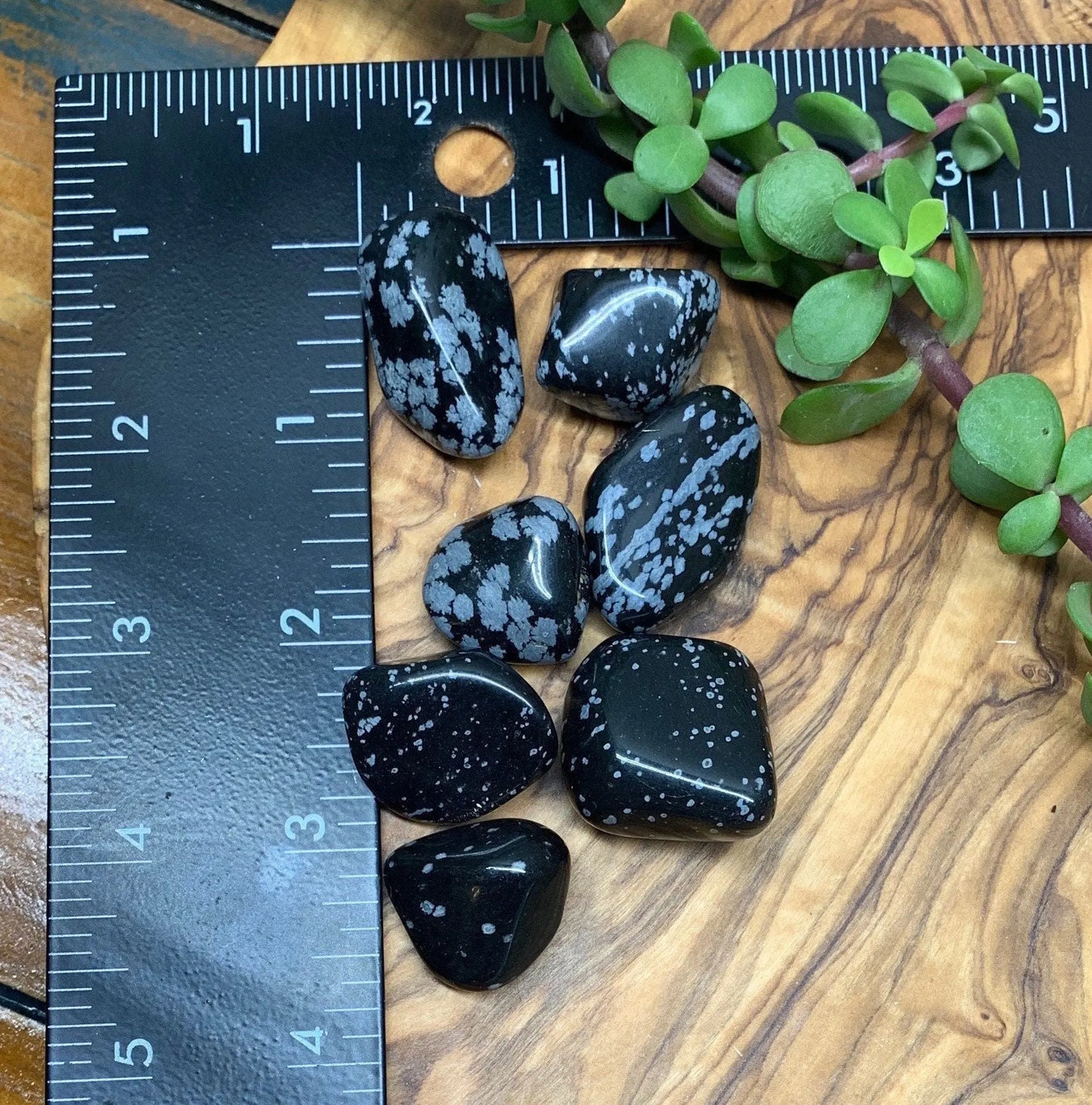 Snowflake Obsidian Tumbled Stone (Approx. 3/4" - 1") 0741 Shop Wholesale Crystals