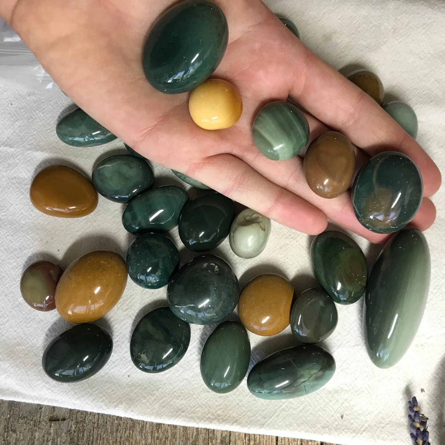 Polished Alxa Agate, Mongolian Gobi, Tumbled Stone (Approx. 1 1/4" - 1 3/4" long) for Wire Wrapping or Crystal Grid Supply BIN-1518 Shop Wholesale Crystals