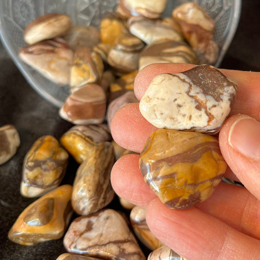 Brown Zebra Stone Tumbled Stone (Approx. 1” - 1 1/4”) BIN-1528