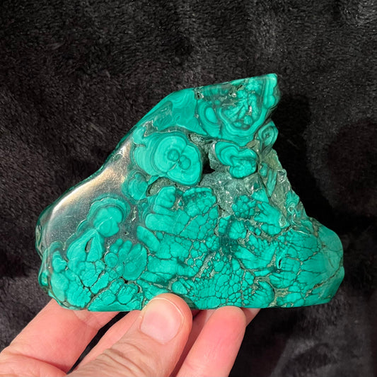 Malachite Polished Slab (Approx. 3 1/2 - 4 1/2”) 0388