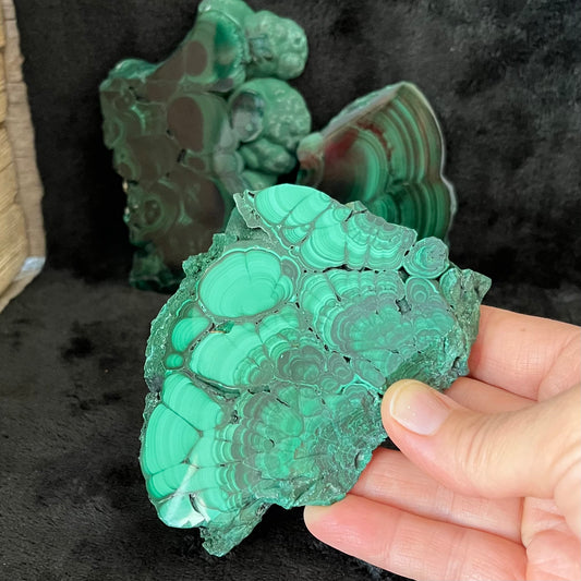 Malachite Slab, Natural, 1 Pound Lot WF-0004